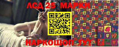 кокс Донской