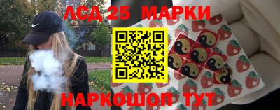 кокс Донской