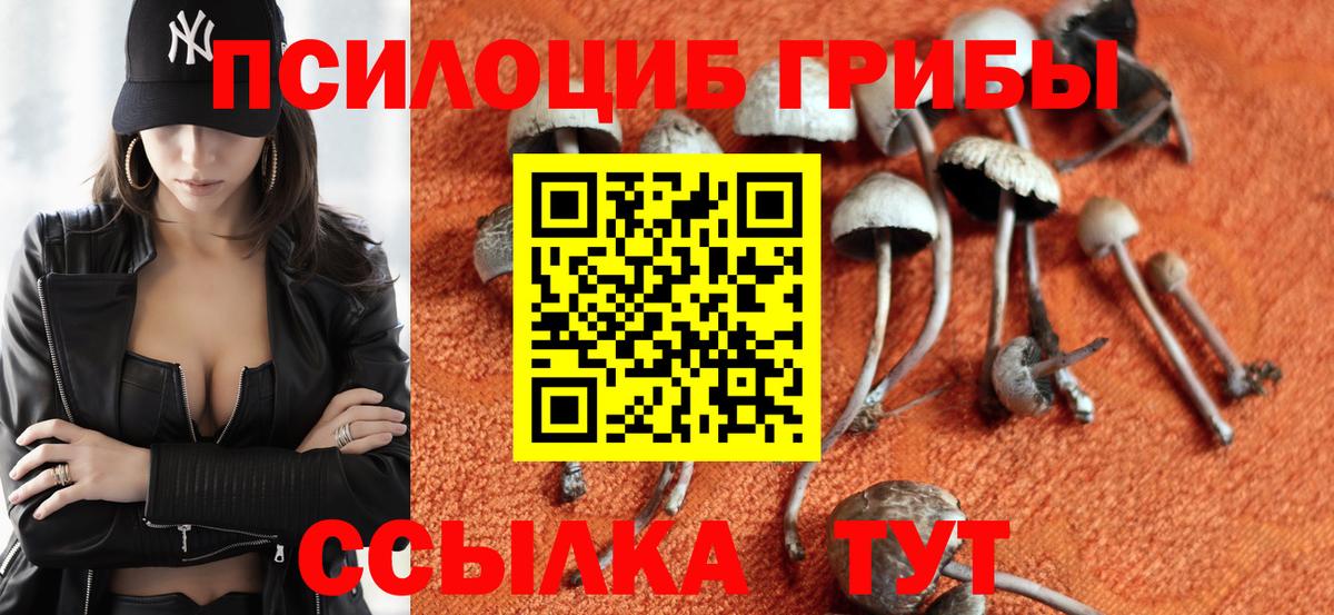 Нижнеудинск  Галлюциногенные грибы мицелий  Вход с VPN  Псилоцибиновые грибы GOLDEN TEACHER 