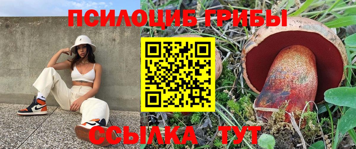 Галлюциногенные грибы Psilocybine cubensis Нижнеудинск